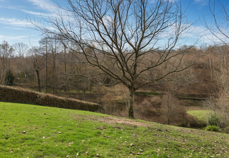 Ansicht 1 Ensch Wohngrundst�ck Sch�nes Baugrundst�ck mit Bachlauf in ruhiger Ortsrandlage von Ensch