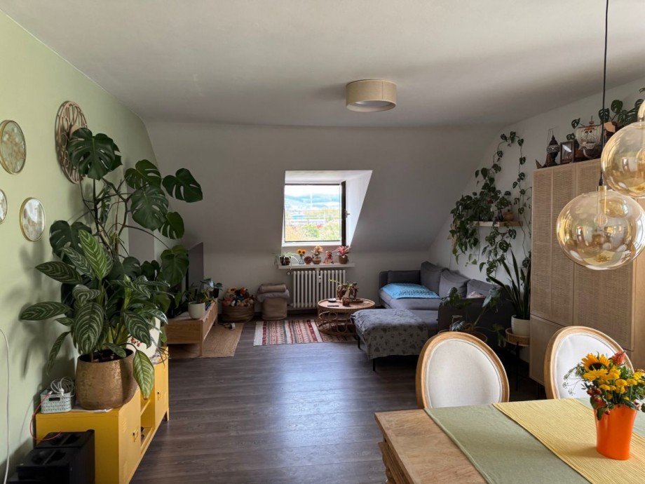 Tim Boldorf Immobilien Haus Trier