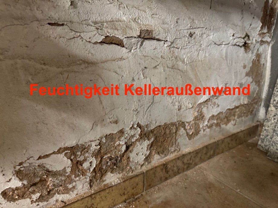 Tim Boldorf Immobilien Einfamilienhaus Riol