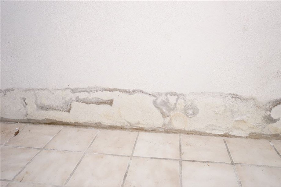 www.tim-boldorf-immobilien.de Einfamilienhaus Zemmer Rodt