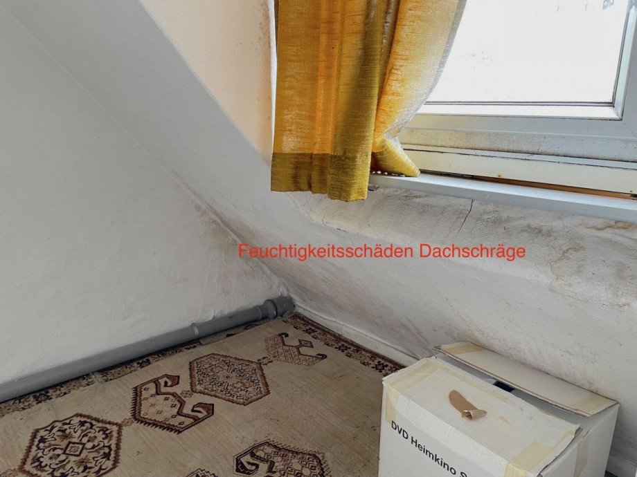 19 Haus Trier