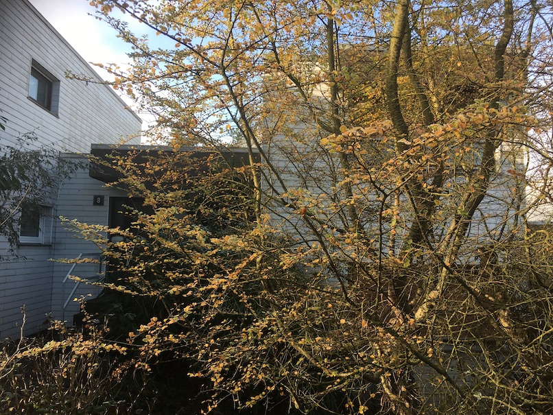 3 Reihenmittelhaus Trier