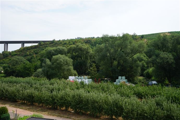 Tim Boldorf Immobilien Etagenwohnung Schweich