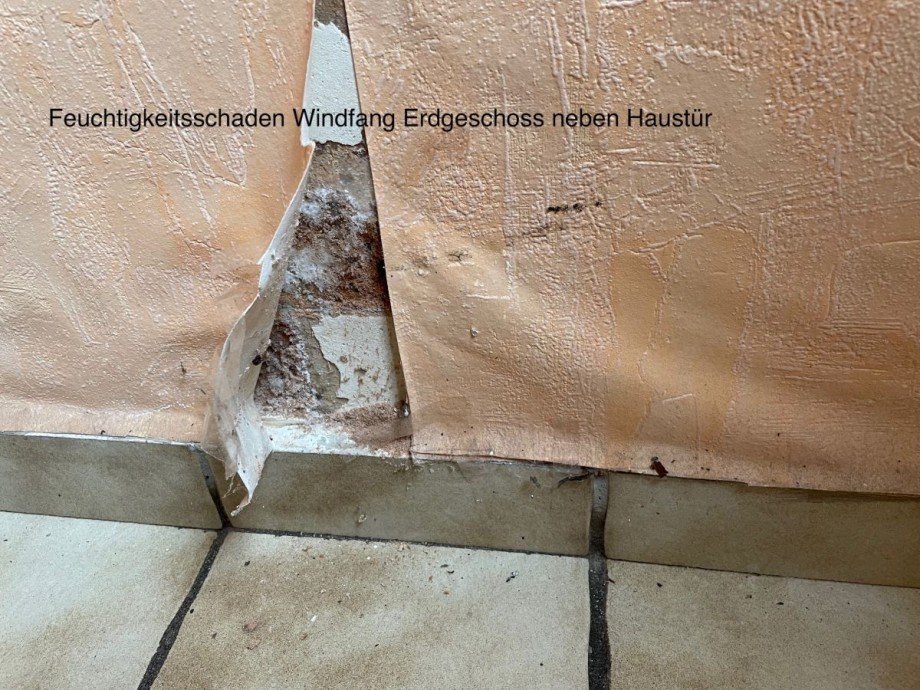6 Haus Trier