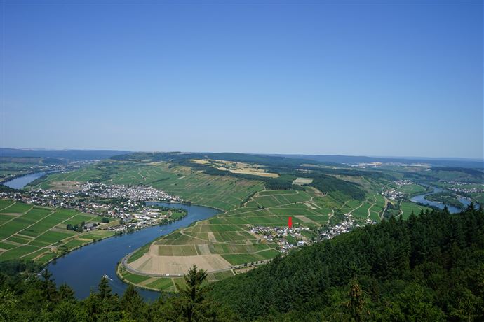 www.tim-boldorf-immobilien.de Zweifamilienhaus P�lich