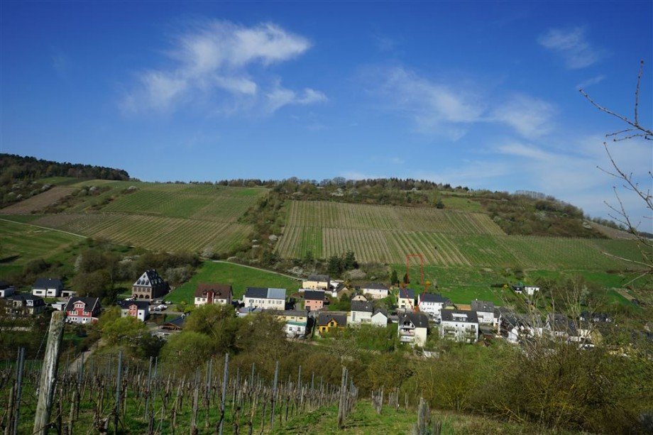 Tim Boldorf Immobilien Etagenwohnung Schweich
