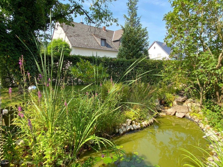 Garten mit Teich Haus Leiwen