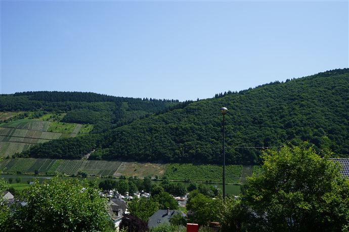 www.tim-boldorf-immobilien.de Zweifamilienhaus P�lich