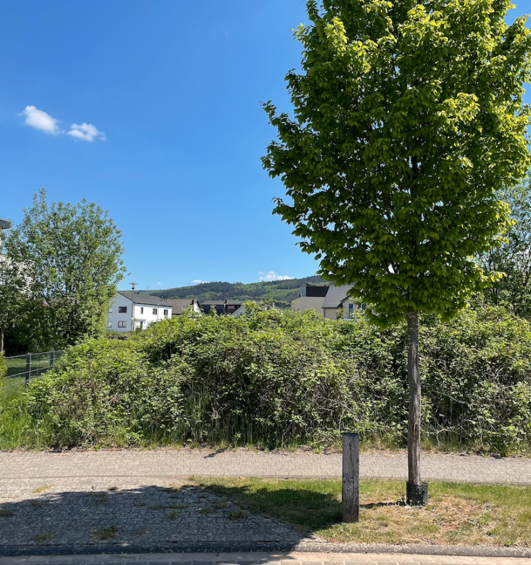 Baugrundst�ck Foto Stra�enansicht Schweich Wohngrundst�ck Verkauft